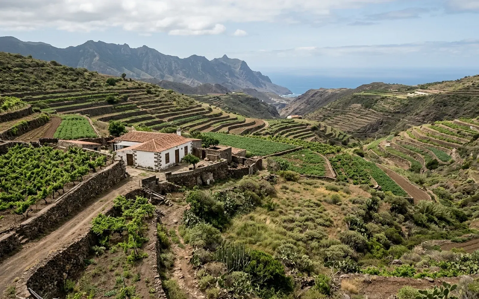 Finca amplia con bancales agrícolas en Canarias
