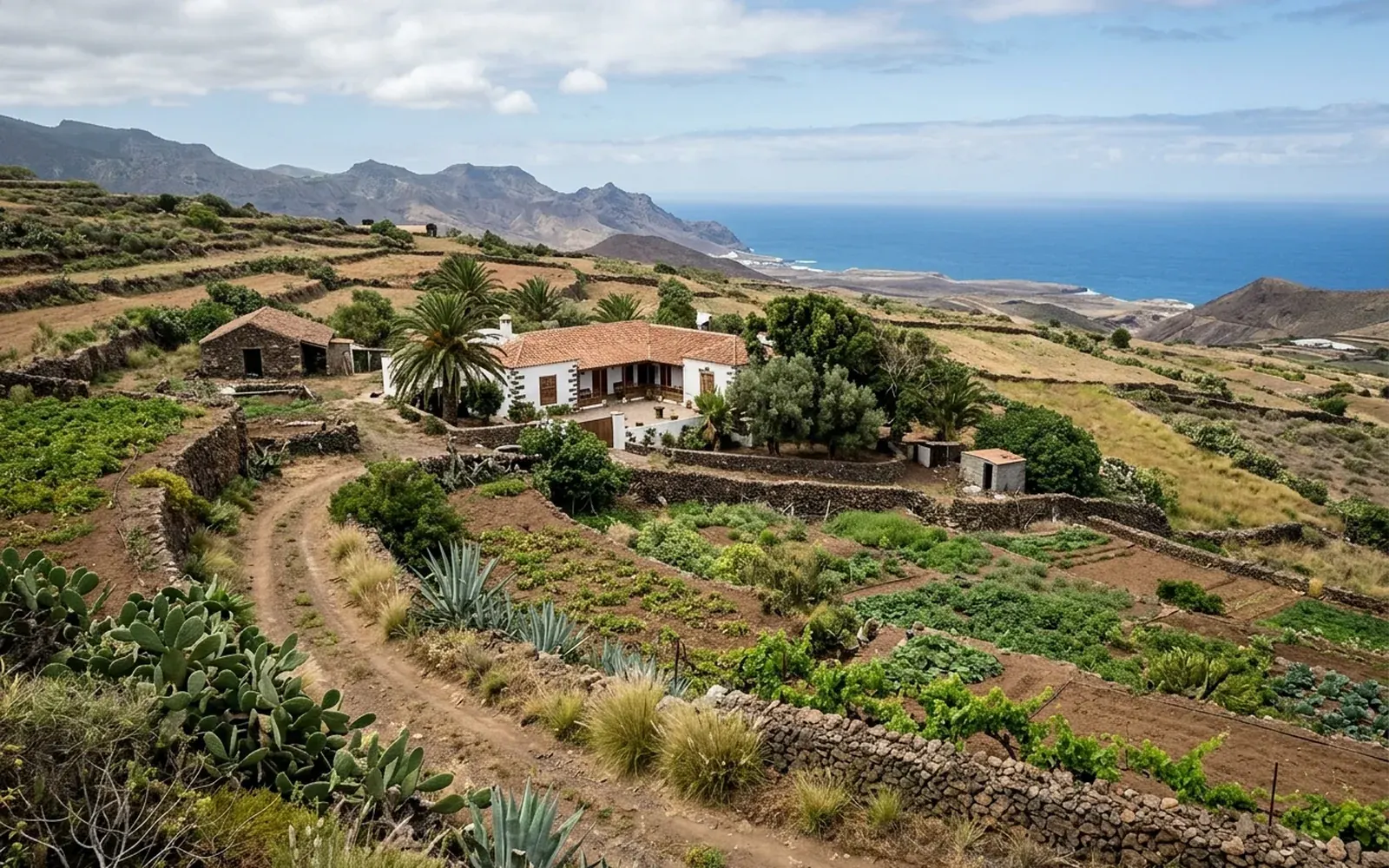 Finca amplia con terreno que podría dividirse en dos parcelas
